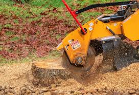 Lawn Watering Services in East Porterville, CA